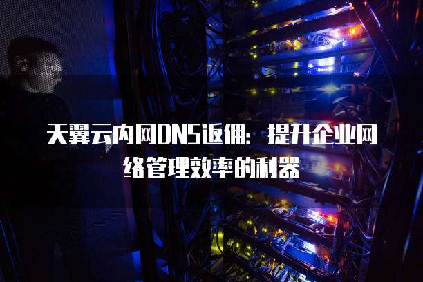 天翼云内网DNS返佣:提升企业网络管理效率的利器