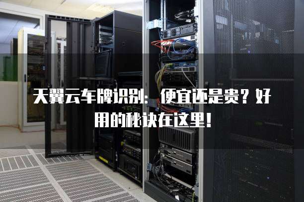 天翼云车牌识别:便宜还是贵?好用的秘诀在这里!