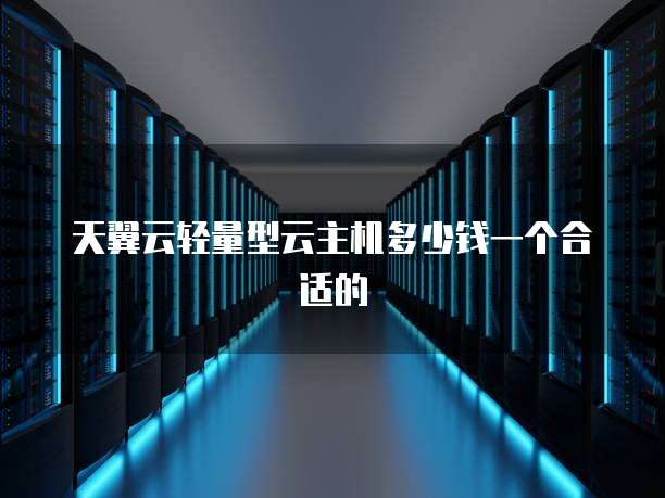 天翼云轻量型云主机多少钱一个合适的