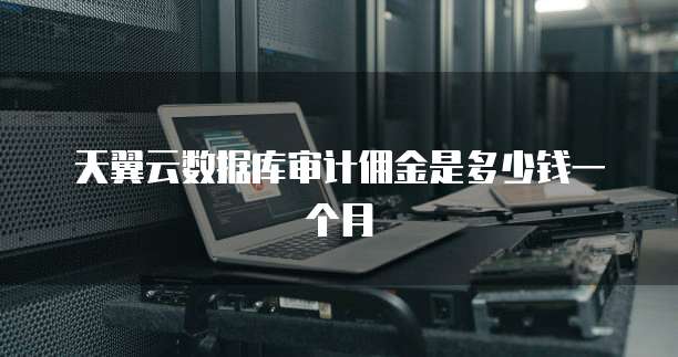 天翼云数据库审计佣金是多少钱一个月