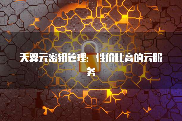 天翼云密钥管理:性价比高的云服务