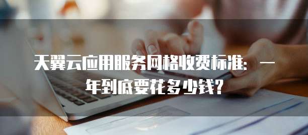 天翼云应用服务网格收费标准:一年到底要花多少钱?