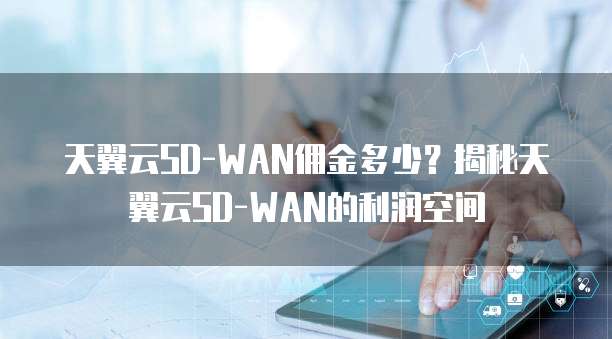 天翼云SD-WAN佣金多少?揭秘天翼云SD-WAN的利润空间