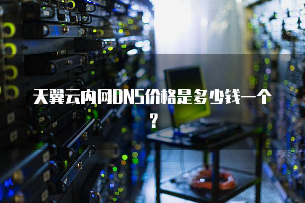 天翼云内网DNS价格是多少钱一个？