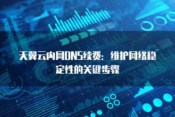 天翼云内网DNS续费:维护网络稳定性的关键步骤