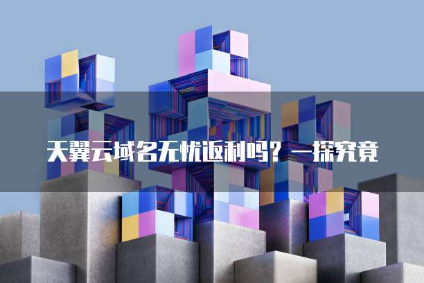 天翼云域名无忧返利吗?一探究竟