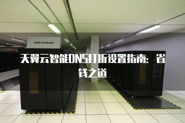 天翼云智能DNS打折设置指南:省钱之道