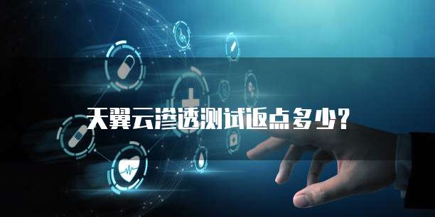天翼云渗透测试返点多少?