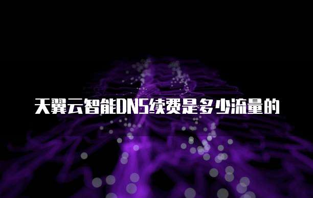 天翼云智能DNS续费是多少流量的
