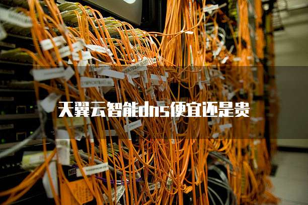 天翼云智能dns便宜还是贵