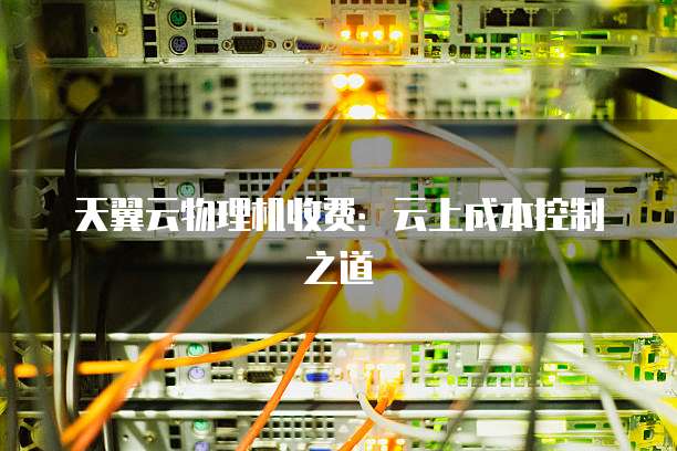 天翼云物理机收费:云上成本控制之道