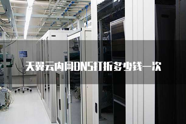 天翼云内网DNS打折多少钱一次