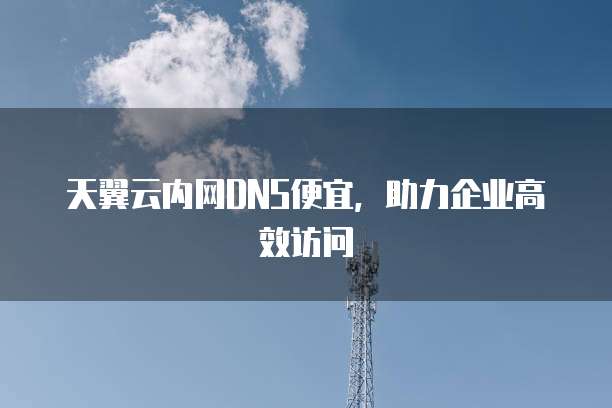 天翼云内网DNS便宜,助力企业高效访问