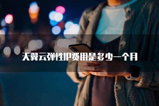 天翼云弹性IP费用是多少一个月