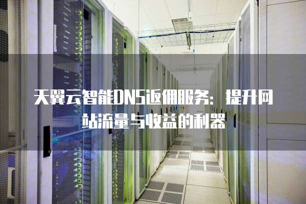 天翼云智能DNS返佣服务：提升网站流量与收益的利器