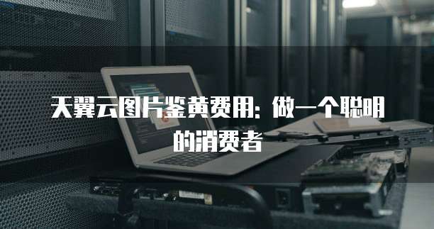 天翼云图片鉴黄费用: 做一个聪明的消费者
