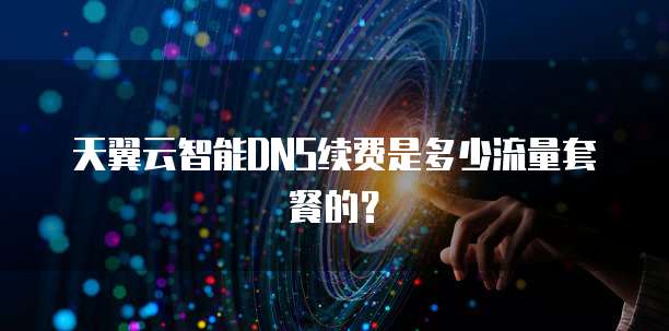 天翼云智能DNS续费是多少流量套餐的？