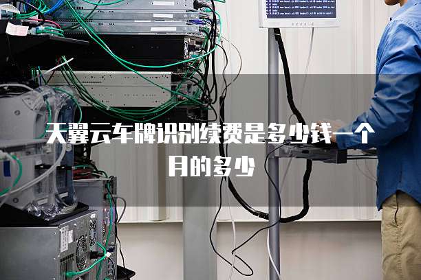 天翼云车牌识别续费是多少钱一个月的多少