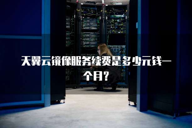 天翼云镜像服务续费是多少元钱一个月？