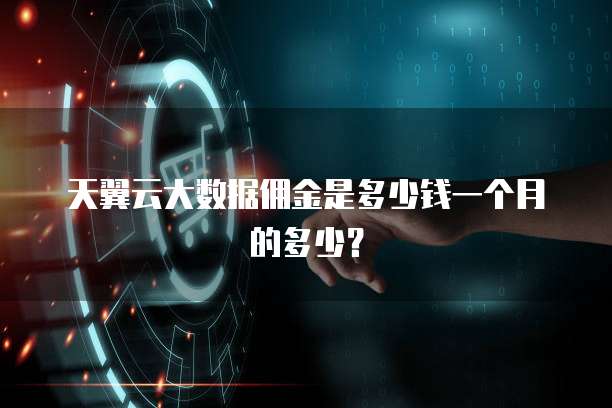 天翼云大数据佣金是多少钱一个月的多少?