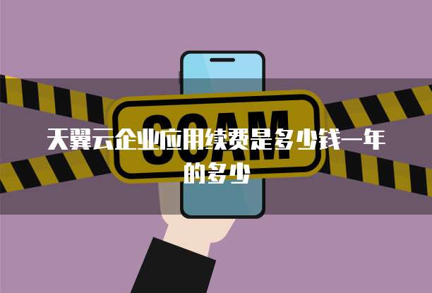 天翼云企业应用续费是多少钱一年的多少