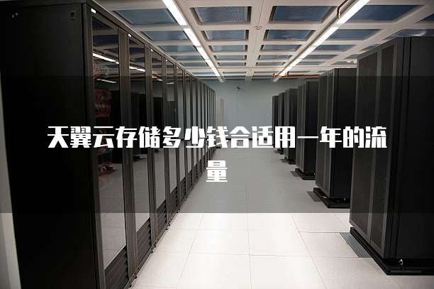 天翼云存储多少钱合适用一年的流量
