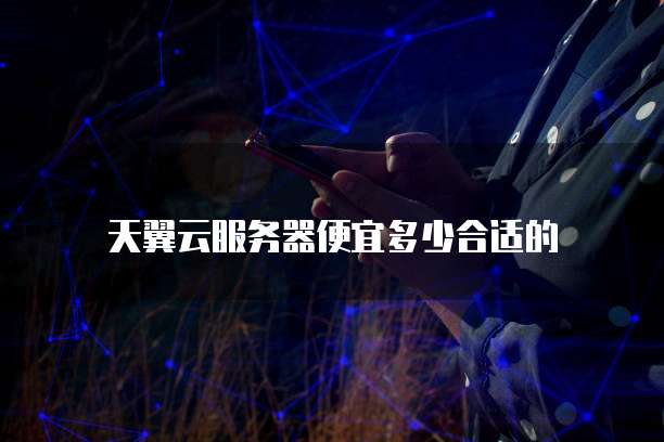 天翼云服务器便宜多少合适的