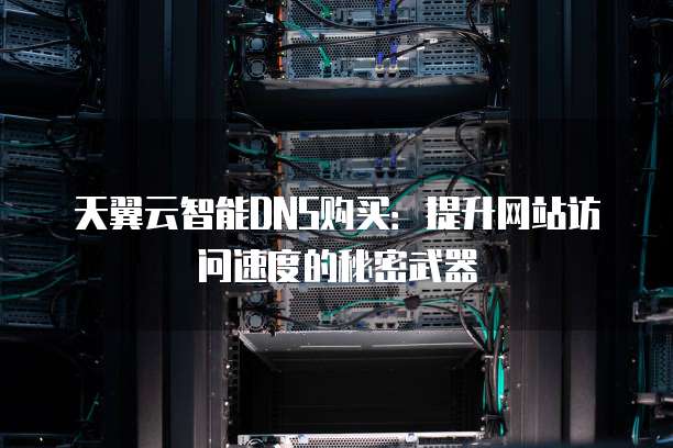 天翼云智能DNS购买:提升网站访问速度的秘密武器