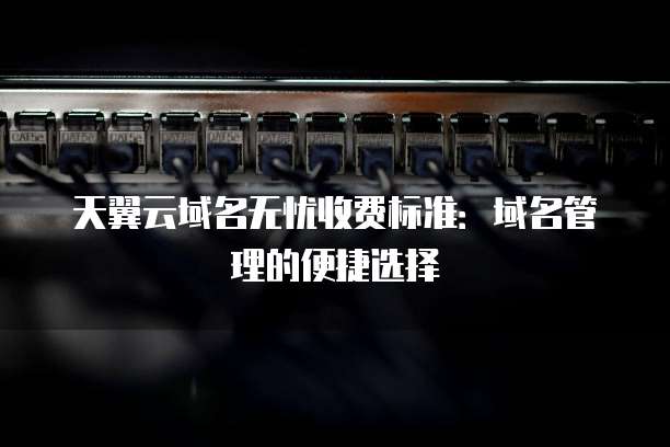 天翼云域名无忧收费标准:域名管理的便捷选择