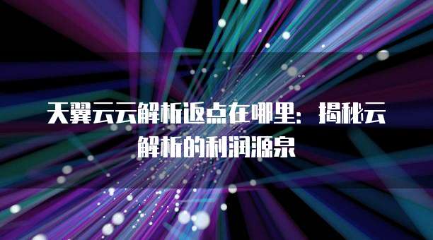 天翼云云解析返点在哪里:揭秘云解析的利润源泉