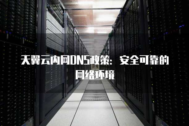 天翼云内网DNS政策:安全可靠的网络环境