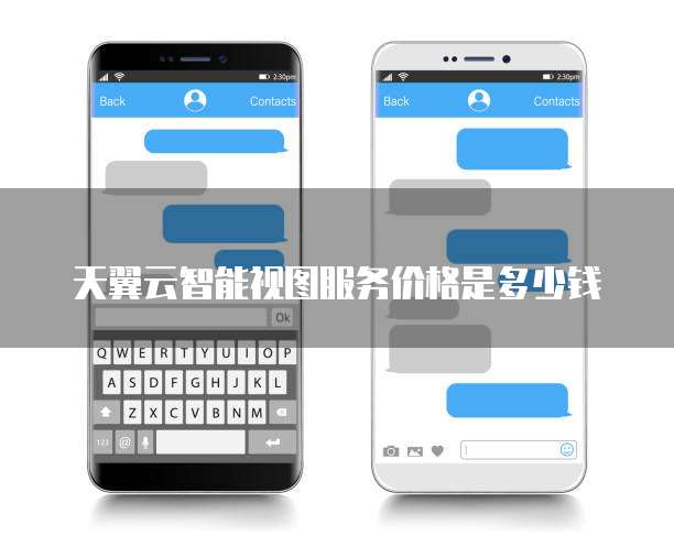 天翼云智能视图服务价格是多少钱