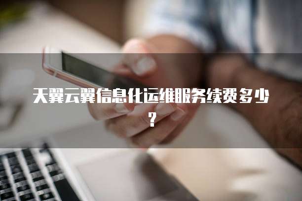 天翼云翼信息化运维服务续费多少？