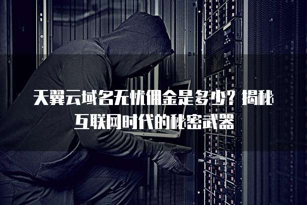 天翼云域名无忧佣金是多少?揭秘互联网时代的秘密武器