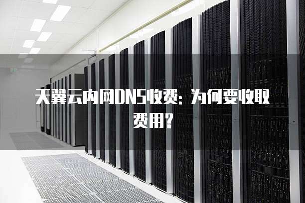 天翼云内网DNS收费: 为何要收取费用?