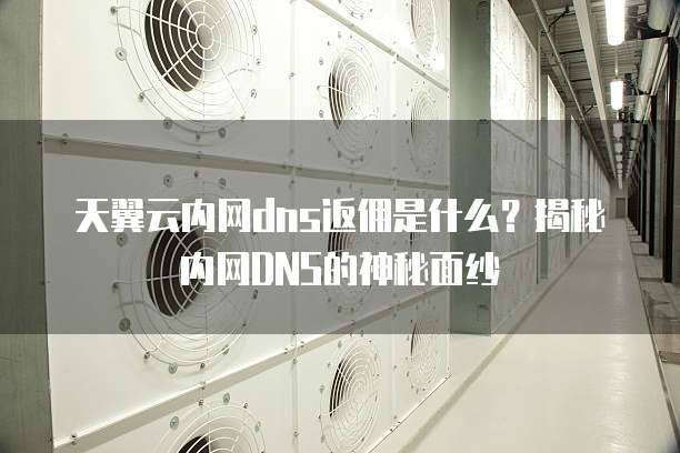 天翼云内网dns返佣是什么?揭秘内网DNS的神秘面纱