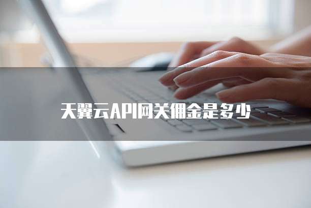 天翼云API网关佣金是多少