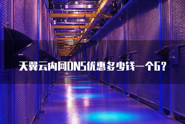 天翼云内网DNS优惠多少钱一个G?