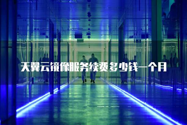 天翼云镜像服务续费多少钱一个月