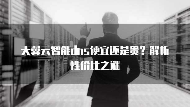 天翼云智能dns便宜还是贵？解析性价比之谜