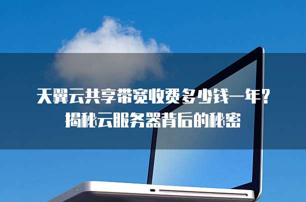 天翼云共享带宽收费多少钱一年?揭秘云服务器背后的秘密