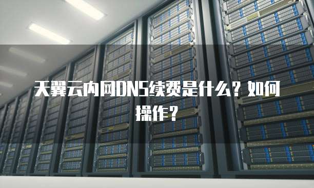 天翼云内网DNS续费是什么?如何操作?