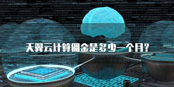天翼云计算佣金是多少一个月?