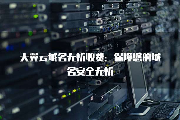 天翼云域名无忧收费:保障您的域名安全无忧
