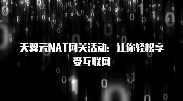 天翼云NAT网关活动:让你轻松享受互联网