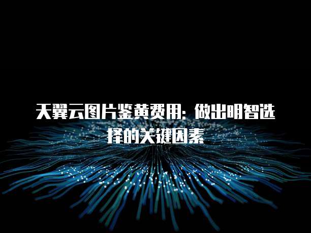 天翼云图片鉴黄费用: 做出明智选择的关键因素