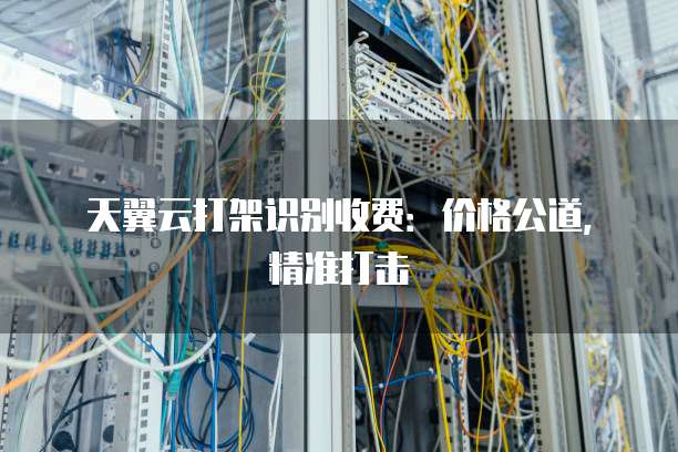 天翼云打架识别收费:价格公道,精准打击