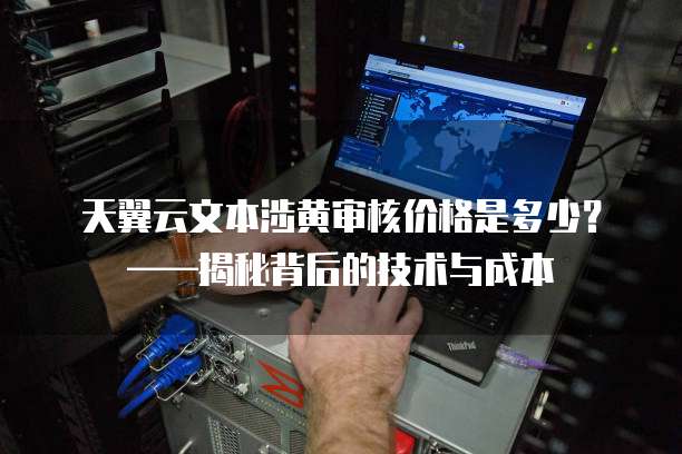 天翼云文本涉黄审核价格是多少?——揭秘背后的技术与成本