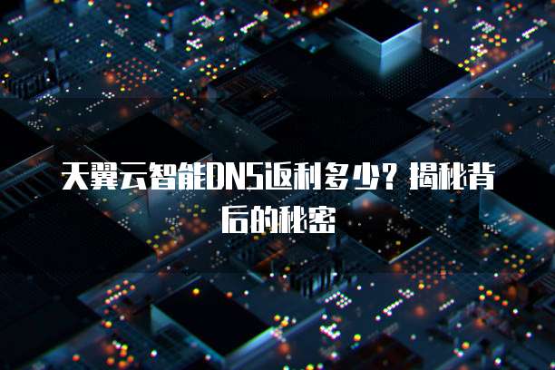 天翼云智能DNS返利多少？揭秘背后的秘密