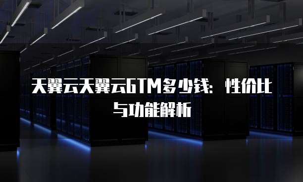 天翼云天翼云GTM多少钱:性价比与功能解析